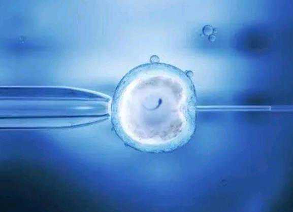 珠海靠谱代怀,珠海哪家供卵助孕医院能一次成功