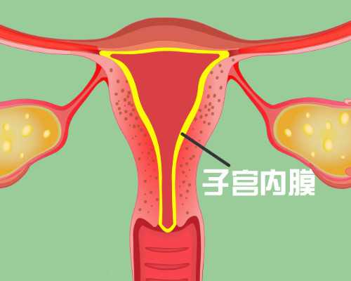广东助孕机构排行榜，2023试管婴儿成功率排名前十医院名单