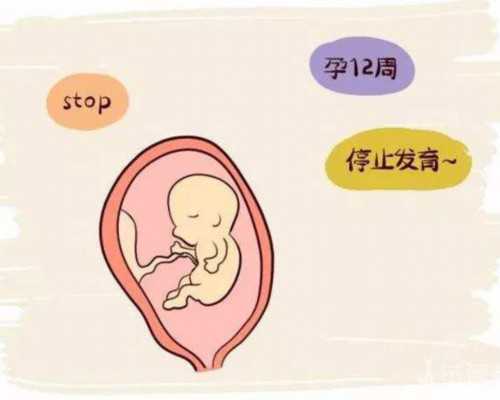广东中山市能做三代试管婴儿的医院有哪几家？你是否了解？
