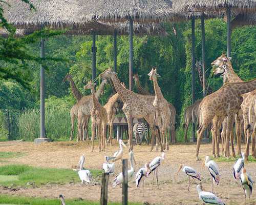珠海做试管婴儿多少钱,在珠海做试管婴儿大概需要多少钱