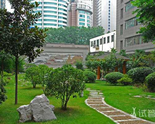 珠海代孕产子靠谱吗,霍州试管婴儿助孕医院?珠海哪个医院能做三代试管?