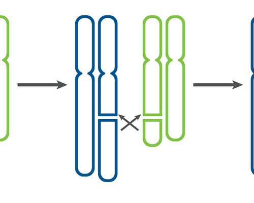 珠海做代生价格,珠海律师：产假期内被公司辞退？法院判决赔偿！