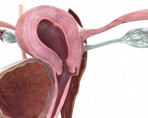 珠海新生儿医保多久之内办理,珠海做不孕不育检查得多久