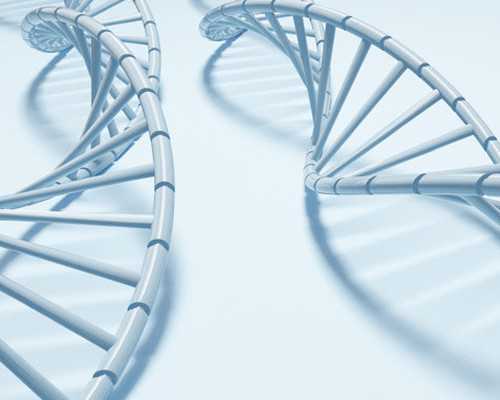 珠海冷冻卵子需要多少钱,2023在珠海湘雅做试管婴儿需多少钱？