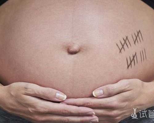 影响珠海试管婴儿价格的因素,珠海三代试管婴儿费用价格表?