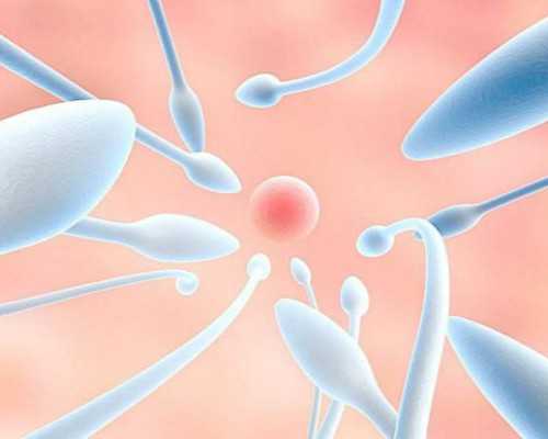 珠海试管代孕排名医院,2023珠海三代试管供精生子价格表，已经纳入医保了吗