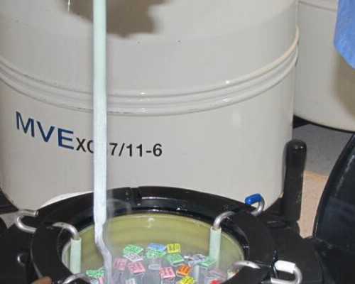 珠海中信湘雅试管客服咨询?,关于珠海中信湘雅试管咨询区