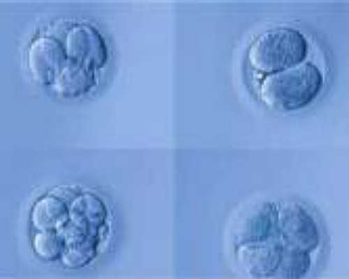 珠海包成功代孕机构,2023珠海助孕机构大全?试管婴儿医院