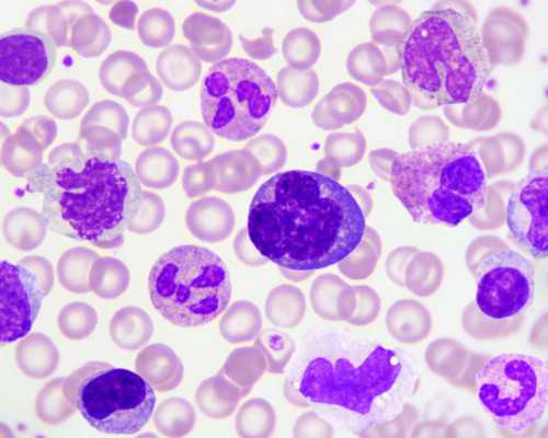 珠海代孕套餐收费表,珠海三代试管助孕供卵生孩子公司可以签约吗