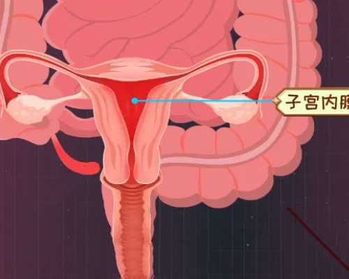 珠海正规代生中介,2023珠海哪里有卵子库仅1家供卵试管医院可选择