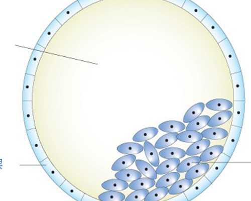 代怀包生女,美国试管婴儿过程具体步骤有哪些