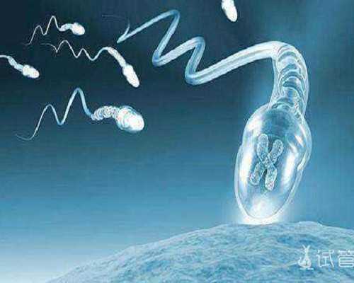 珠海代怀正规公司,珠海妇幼保健院三代试管婴儿生男孩价格多少?