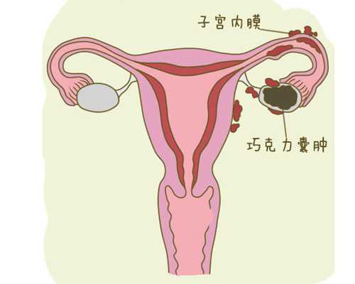 珠海ivf代孕,2023年在珠海私人机构做试管价格一览！