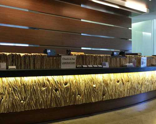 临沂市不孕不育医院排名,临沂不孕不育哪家医院的比较好?