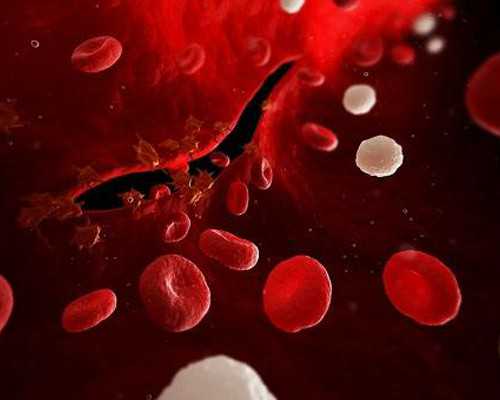 珠海代怀孕网供卵,2023珠海三代试管供精生子价格表，已经纳入医保了吗