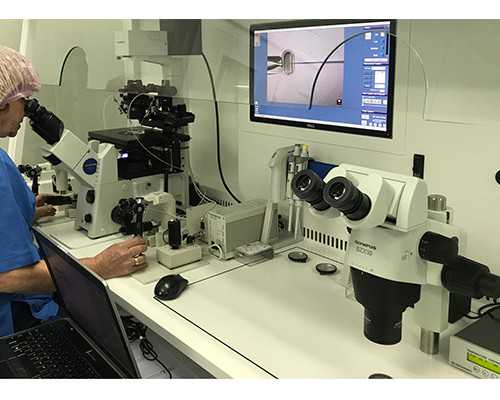 广东供卵试管成功率排名前十医院附2023供卵三代生龙凤胎费用