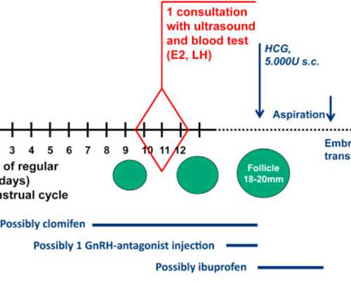 广东助孕机构排行榜(2023试管婴儿成功率排名前十医院名单)