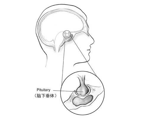 珠海供卵生子咨询,霍州试管婴儿助孕医院？珠海哪个医院能做三代试管？