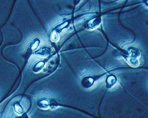 珠海老婆生孩子可以用老公的社保么,珠海哪里可以冷冻卵子