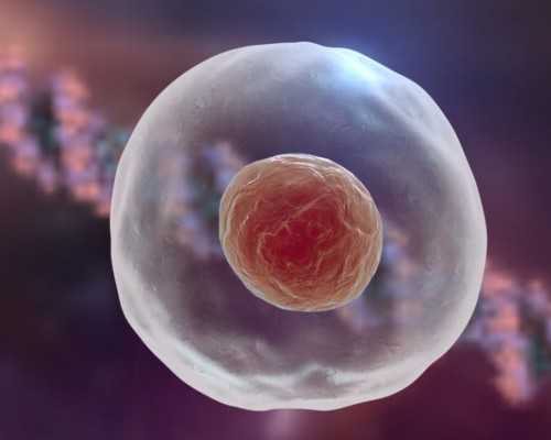 珠海代怀孕零风险,珠海市的月子中心一般要多少钱 月子中心怎么选