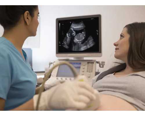 珠海最好试管代孕,北大网红双胞胎作家亮相珠海，分享新书创作故事