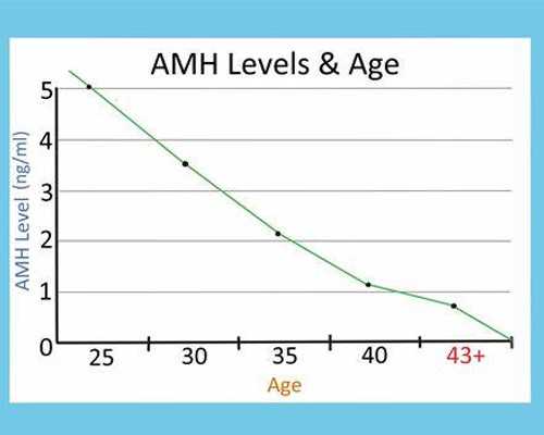 珠海专业做代怀,珠海做哪里可以做试管婴儿？要多少钱？