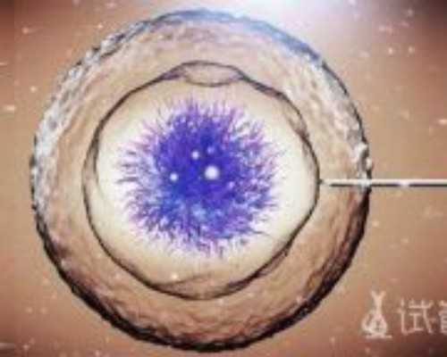 珠海代怀网哪家好,珠海三代试管婴儿私人生孩子机构有哪些名单