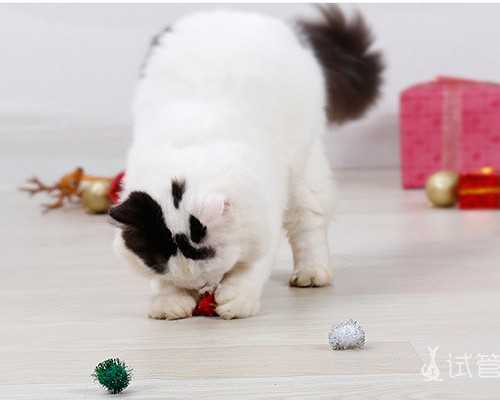 人工受孕的适用范围