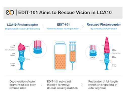 珠海找代怀价钱,珠海试管婴儿多少钱？哪些因素会影响价格？