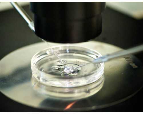 珠海哪些医生看优生优育比较好,珠海试管私立医院哪家好