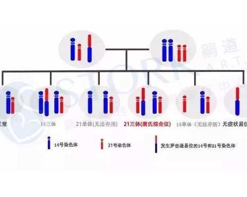 珠海正规供卵价格,珠海妇幼试管婴儿费用贵不贵?附2023
试管花费明细