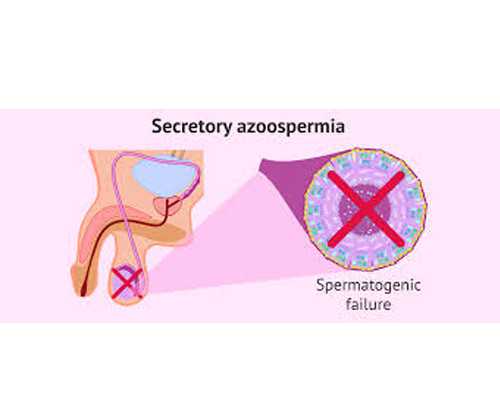 珠海代孕正规公司,2023珠海助孕机构大全，附10家生殖医院3家公司清单