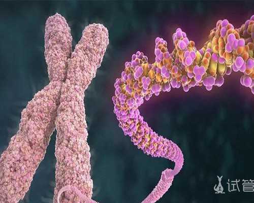 珠海哪家试管婴儿医院口碑好?,珠海做试管最好的医院有哪些??