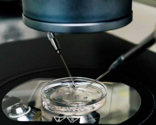 珠海三代试管做男孩能包成功吗？,珠海哪个医院生孩子便宜