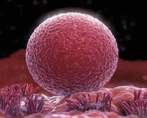 珠海去哪找代孕公司,珠海试管婴儿医院名单为什么要参考这些名单?