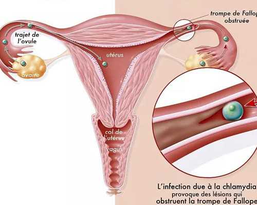 珠海代怀中心机构,2023珠海助孕机构大全，附10家生殖医院3家公司清单