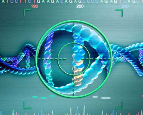 珠海试管婴儿医生最好的医院排名第一！,珠海做试管好的医院