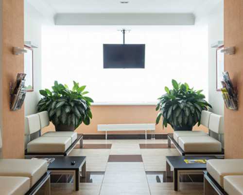 孕期饮食注意事项⚠️孕期每月营养补充指南 高龄自卵和赠卵成功率