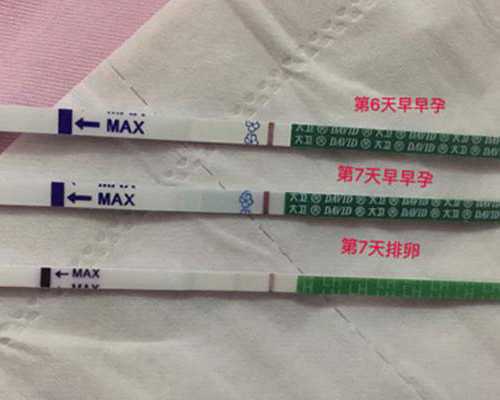 珠海供卵服务中心,2023年在珠海私立医院做试管生双胞胎价格一览