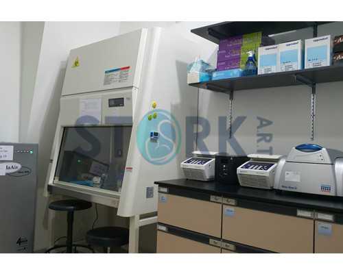 珠海代生供卵咨询,2025珠海助孕机构大全,附10家生殖医院3家公司清单