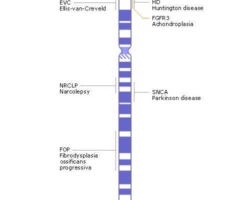 卵巢早衰在东莞做供卵试管多少钱,广东东莞供卵一二三代试管的费用参考及医