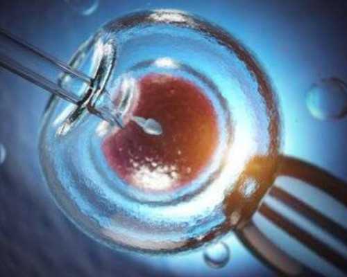 珠海代怀生子价格,珠海三代试管哪家医院成功率高