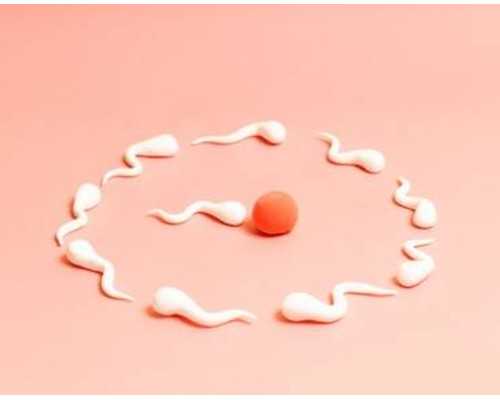 克拉玛依三代试管婴儿费用哪里:广东哪家试管婴儿医院最好?选择试管婴儿医