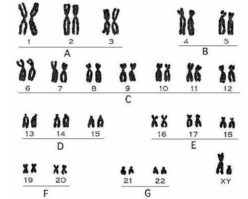 珠海男人找女人代怀,珠海三代试管婴儿生男孩包成功价格多少？