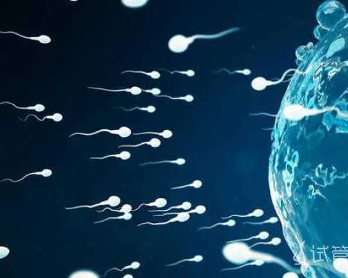 卵巢早衰2年我吃过的NADH补剂 试管代孕的案例