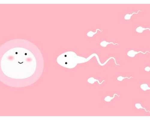 泰国试管婴儿成功几率