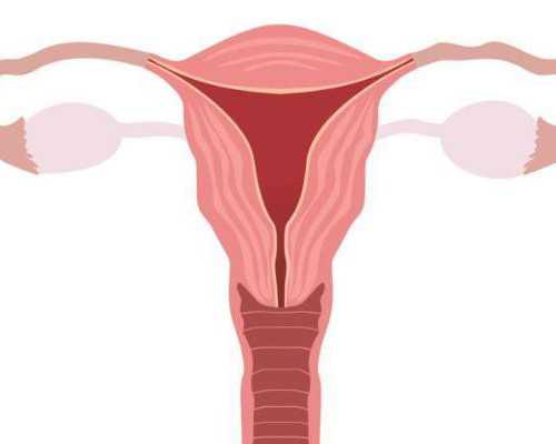 在珠海做试管婴儿多少钱一次,珠海试管婴儿做一次多少钱