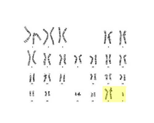 珠海代孕妈妈靠谱吗,中国军网!珠海妇幼试管一代成功率高“言信行