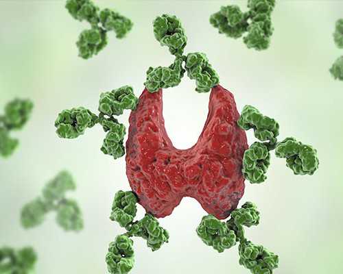 包生男孩医院,泰国试管婴儿移植过程痛不痛?
