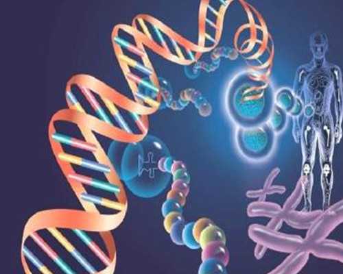 珠海人工授精助孕疼吗,珠海北大医院试管养囊成功率高吗？